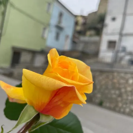 Rifugio Nel Cuore Dell'abruzzo Holiday home Carpineto Sinello